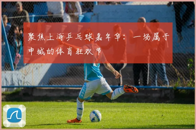 聚焦上海乒乓球嘉年华：一场属于申城的体育狂欢节