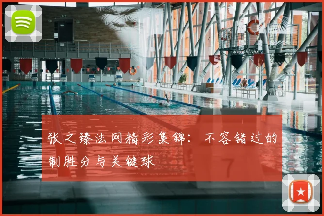 张之臻法网精彩集锦：不容错过的制胜分与关键球
