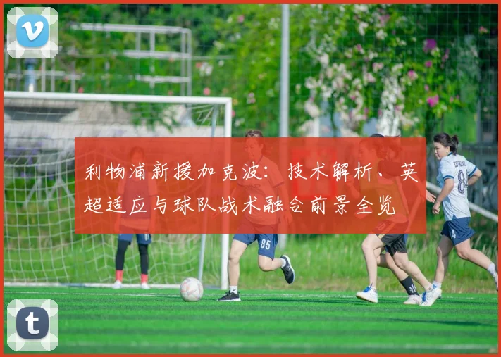 利物浦新援加克波:技术解析、英超适应与球队战术融合前景全览