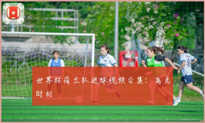 世界杯荷兰队进球视频合集：高光时刻